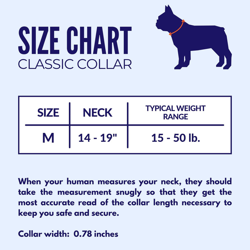 Spooky Dog Collar