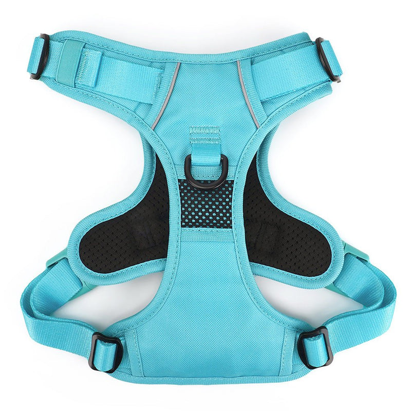 Aqua No Pull Harness Bundle - Beast & Buckle