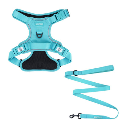 Aqua No Pull Harness Bundle - Beast & Buckle