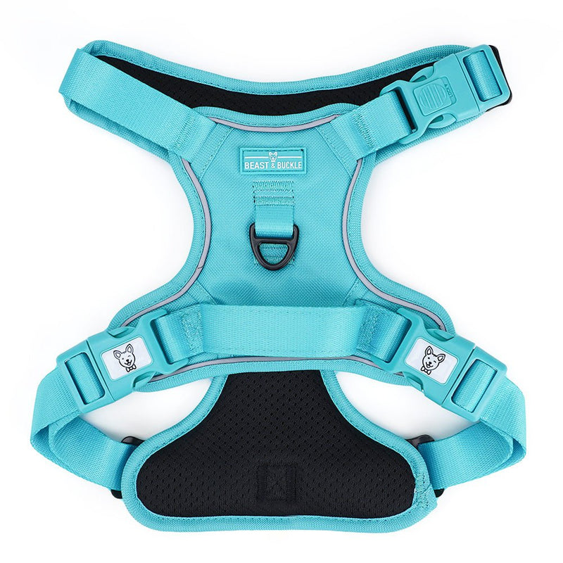 Aqua No Pull Harness Bundle - Beast & Buckle