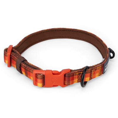 Autumn Vibes Dog Collar - Beast & Buckle