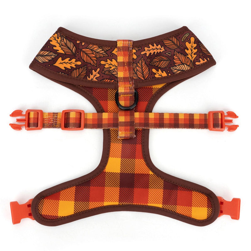 Autumn Vibes Harness and Leash Set - Beast & Buckle