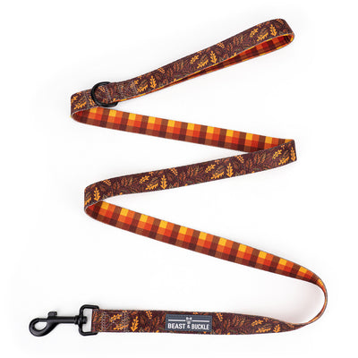 Autumn Vibes Harness and Leash Set - Beast & Buckle