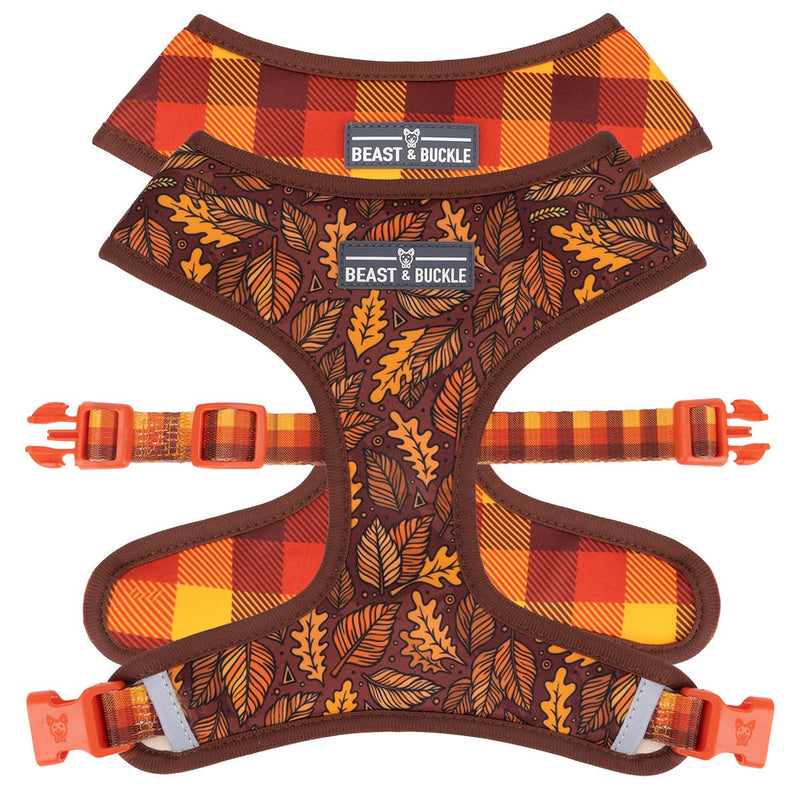 Autumn Vibes Harness and Leash Set - Beast & Buckle