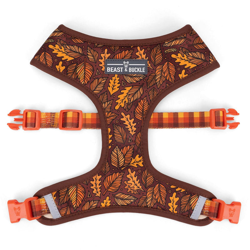 Autumn Vibes Harness and Leash Set - Beast & Buckle