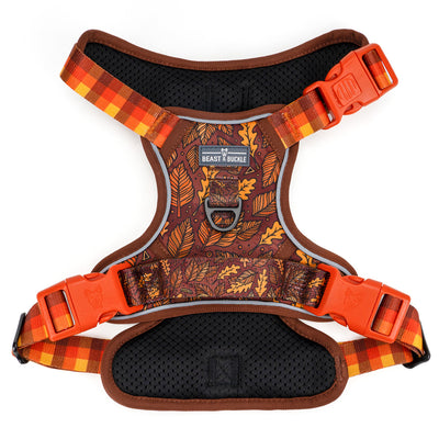Autumn Vibes No Pull Harness & Leash Bundle - Beast & Buckle