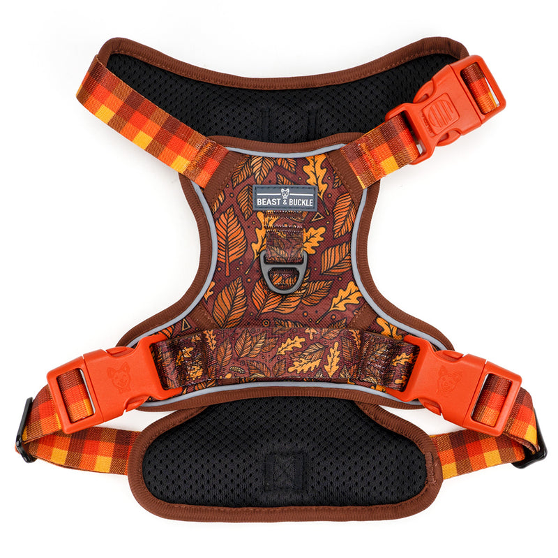 Autumn Vibes No Pull Harness & Leash Bundle - Beast & Buckle