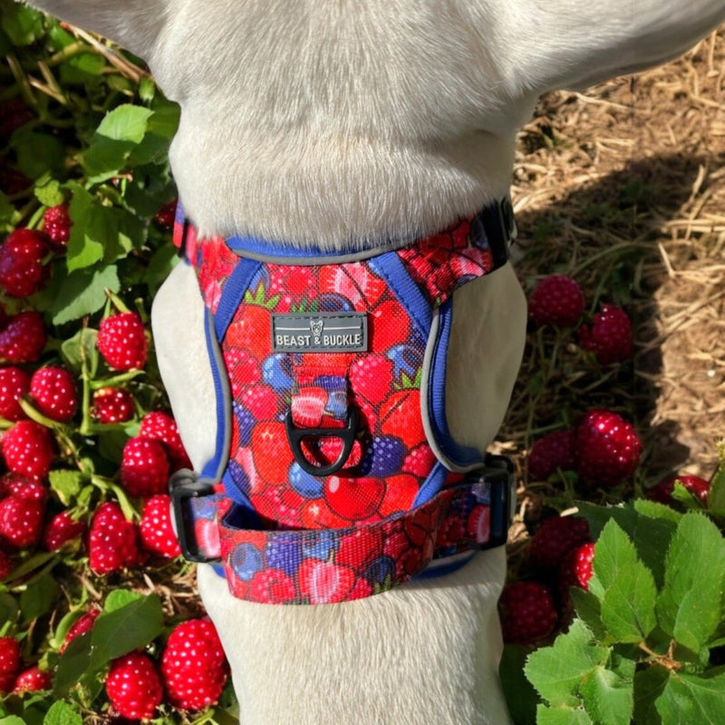 Berries &