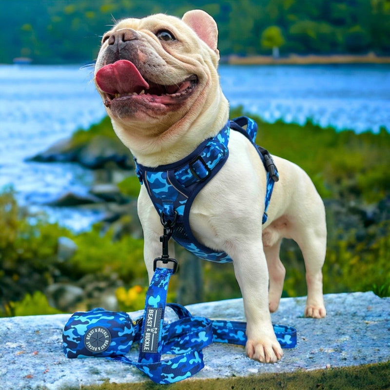 Blue Camo No Pull Dog Harness - Beast & Buckle