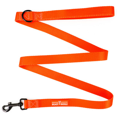 Bold Orange No Pull Harness & Leash Bundle - Beast & Buckle