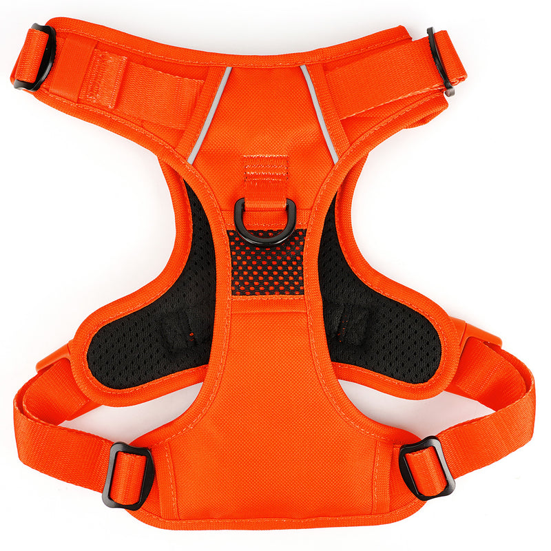 Bold Orange No Pull Harness & Leash Bundle - Beast & Buckle