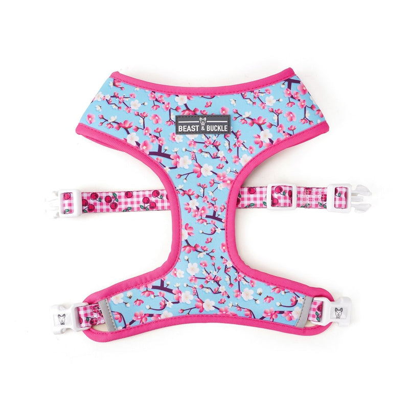 Cherry Blossom Reversible Dog Harness 2.0 - Beast & Buckle
