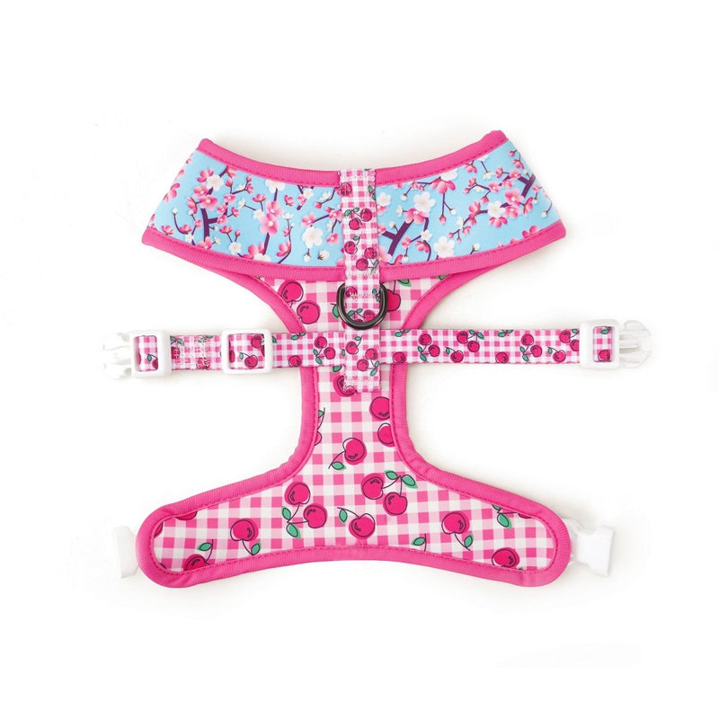 Cherry Blossom Reversible Dog Harness 2.0 - Beast & Buckle
