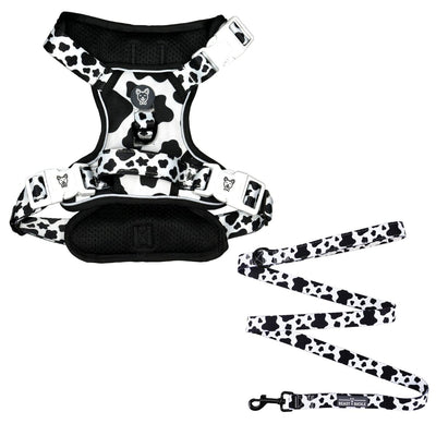 Cow Print No Pull Harness & Leash Bundle - Beast & Buckle