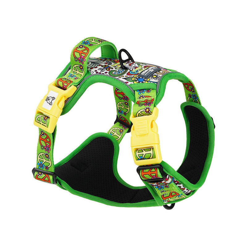 Flower Power No Pull Harness Bundle - Beast & Buckle