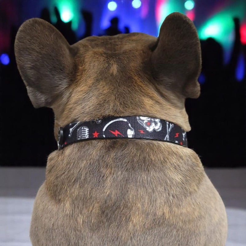 Heavy Metal Dog Collar - Beast & Buckle