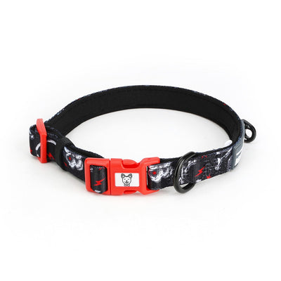 Heavy Metal Dog Collar - Beast & Buckle