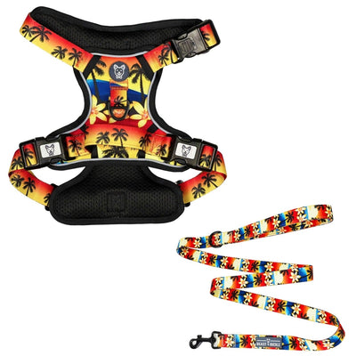 Island Sunset No Pull Harness Bundle - Beast & Buckle