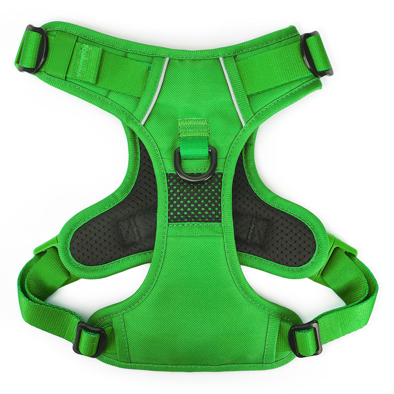Kelly Green No Pull Harness Bundle - Beast & Buckle