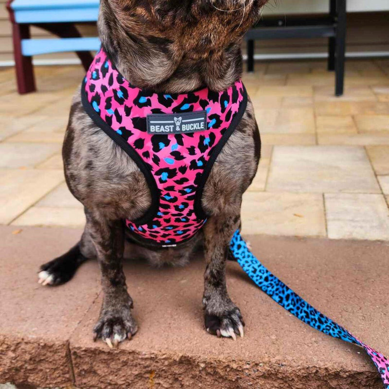 Lady Leopard Harness & Leash Set - Beast & Buckle