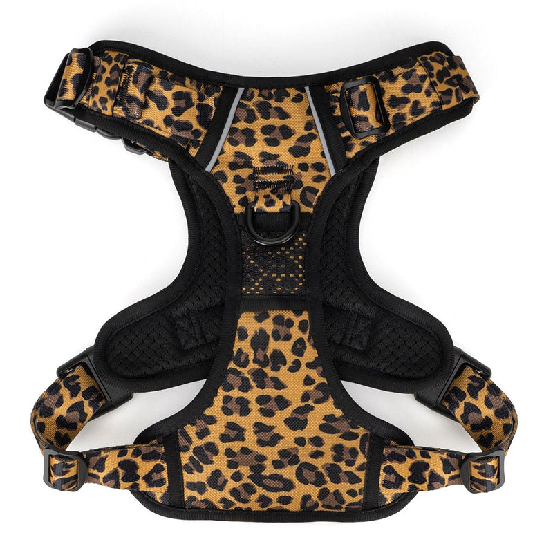 Leopard No Pull Harness & Leash Bundle - Beast & Buckle