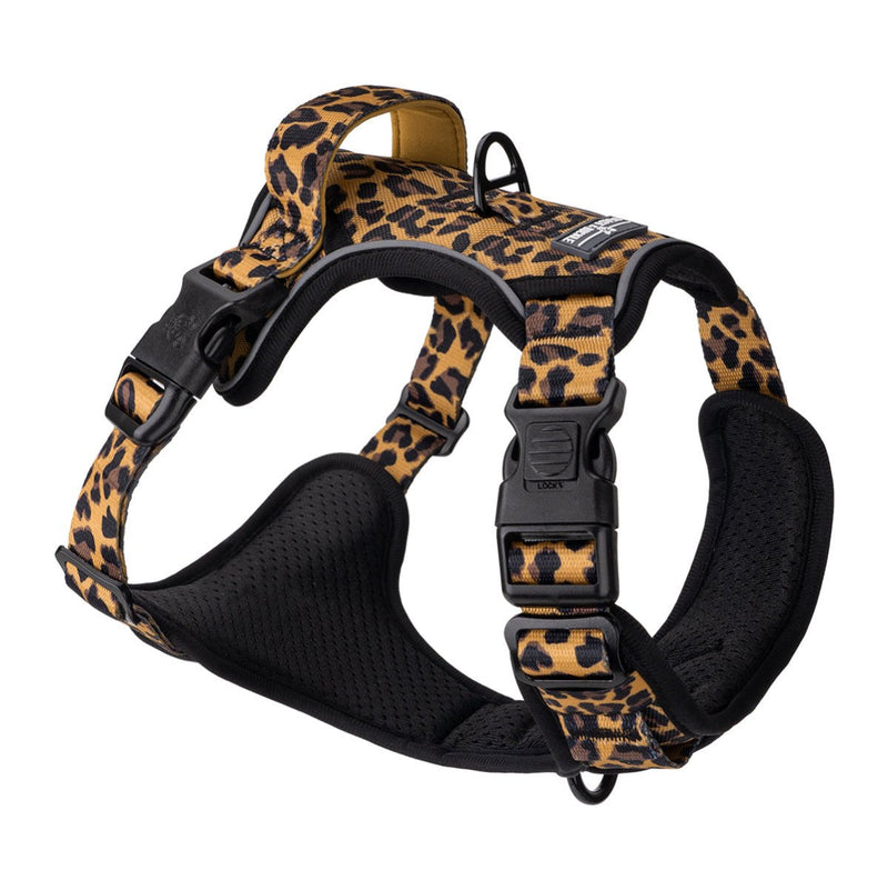 Leopard No Pull Harness & Leash Bundle - Beast & Buckle