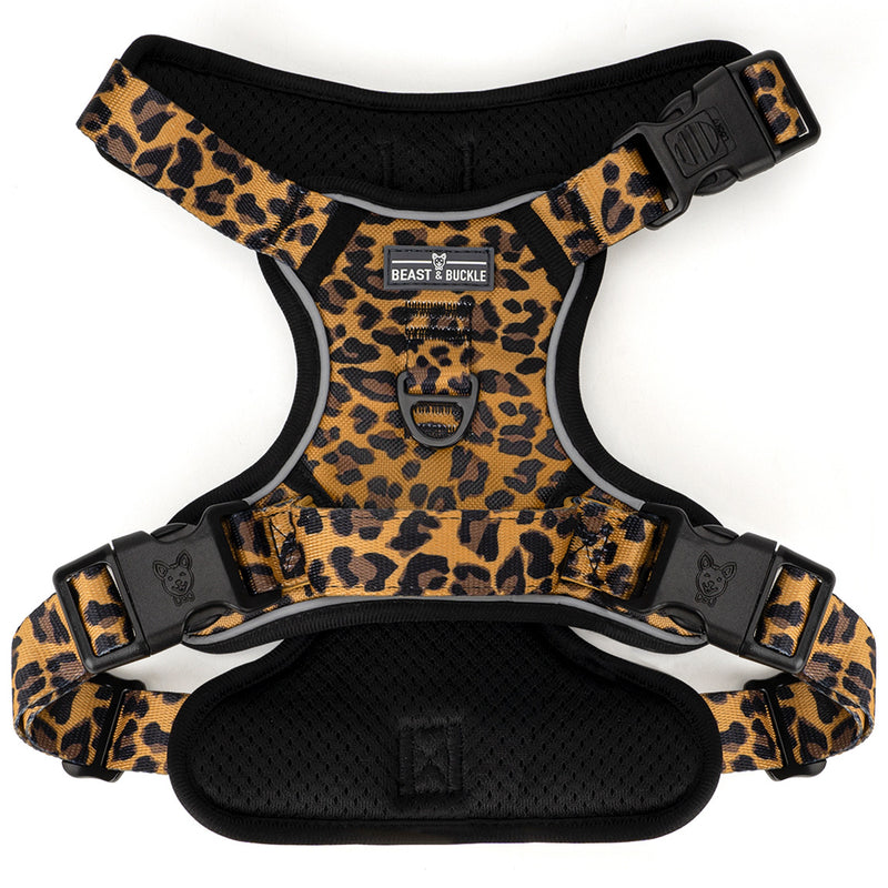 Leopard No Pull Harness & Leash Bundle - Beast & Buckle