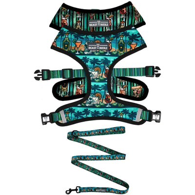 Margarita Harness and Leash Set - Beast & Buckle