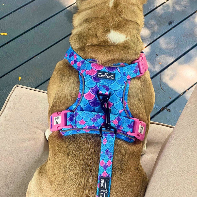 Mermaid No Pull Dog Harness - Beast & Buckle