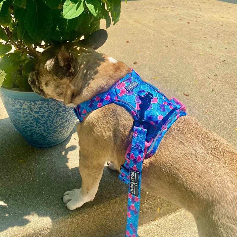 Mermaid No Pull Dog Harness - Beast & Buckle