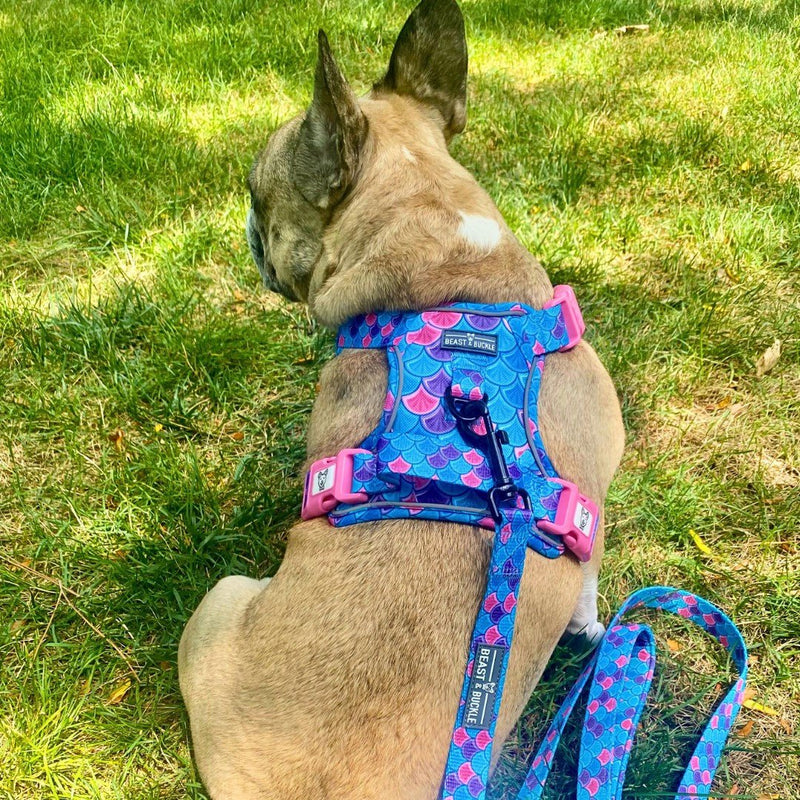Mermaid No Pull Dog Harness - Beast & Buckle