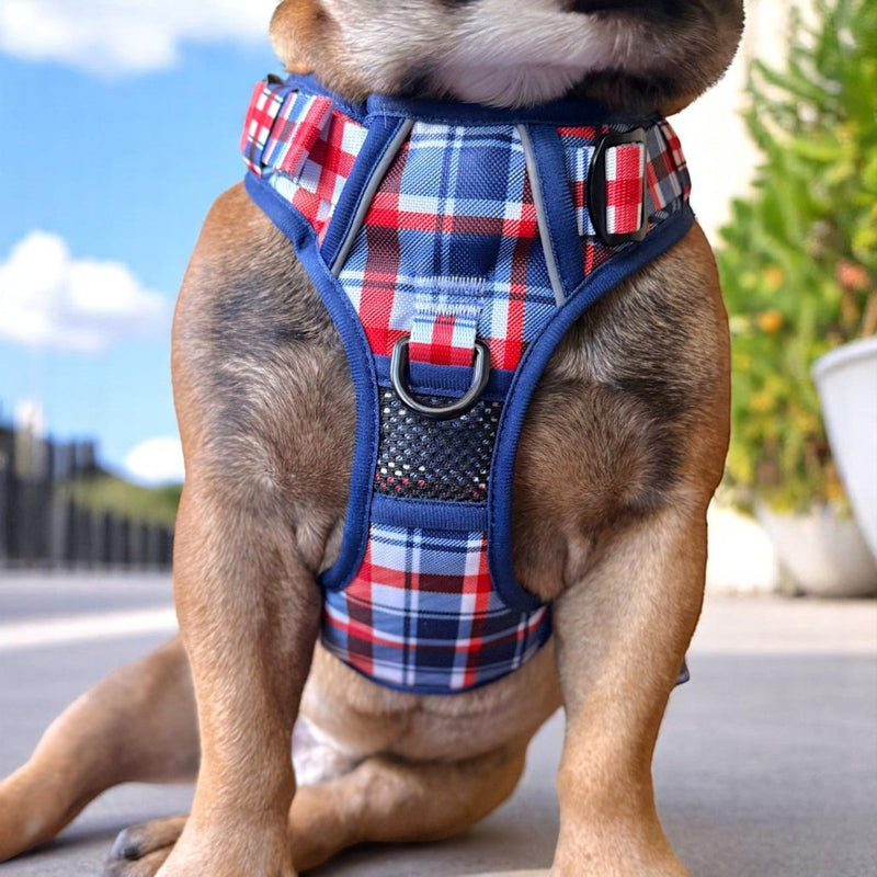 Patriot Plaid No Pull Harness Bundle - Beast & Buckle