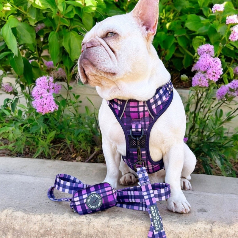Purple Plaid No Pull Harness & Leash Bundle - Beast & Buckle