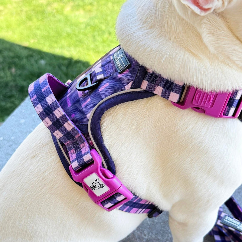 Purple Plaid No Pull Harness & Leash Bundle - Beast & Buckle