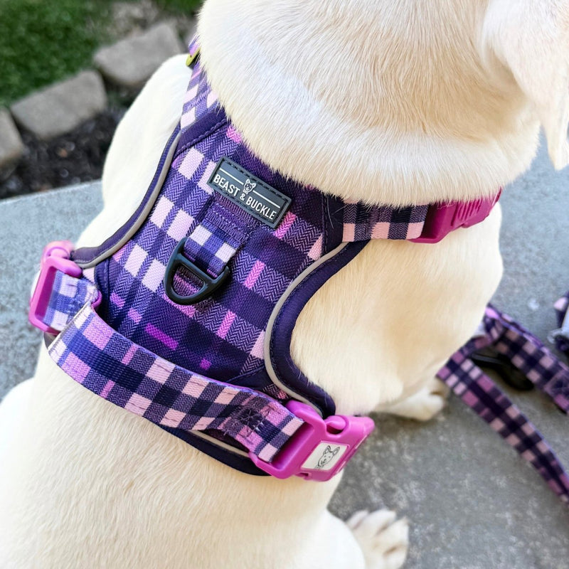 Purple Plaid No Pull Harness & Leash Bundle - Beast & Buckle