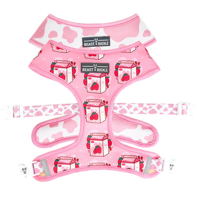 Strawberry Milk Harness and Leash Set - Beast & Buckle