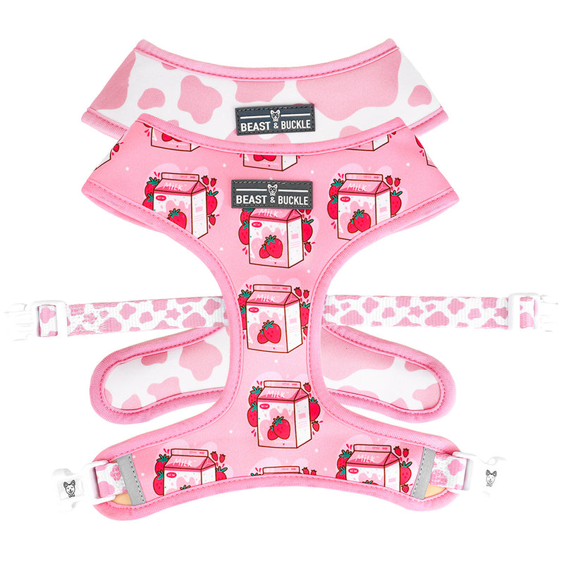 Strawberry Milk Harness and Leash Set - Beast & Buckle