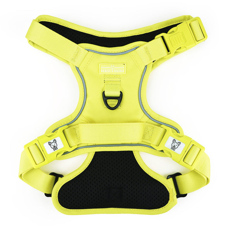 Summer Yellow No Pull Harness Bundle - Beast & Buckle