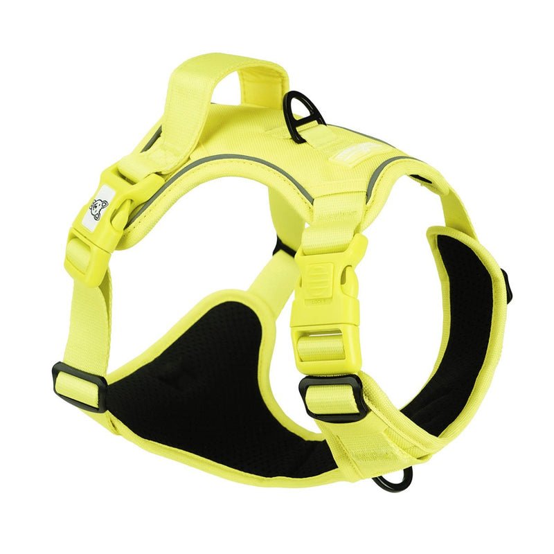 Summer Yellow No Pull Harness Bundle - Beast & Buckle