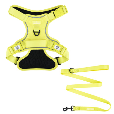 Summer Yellow No Pull Harness Bundle - Beast & Buckle