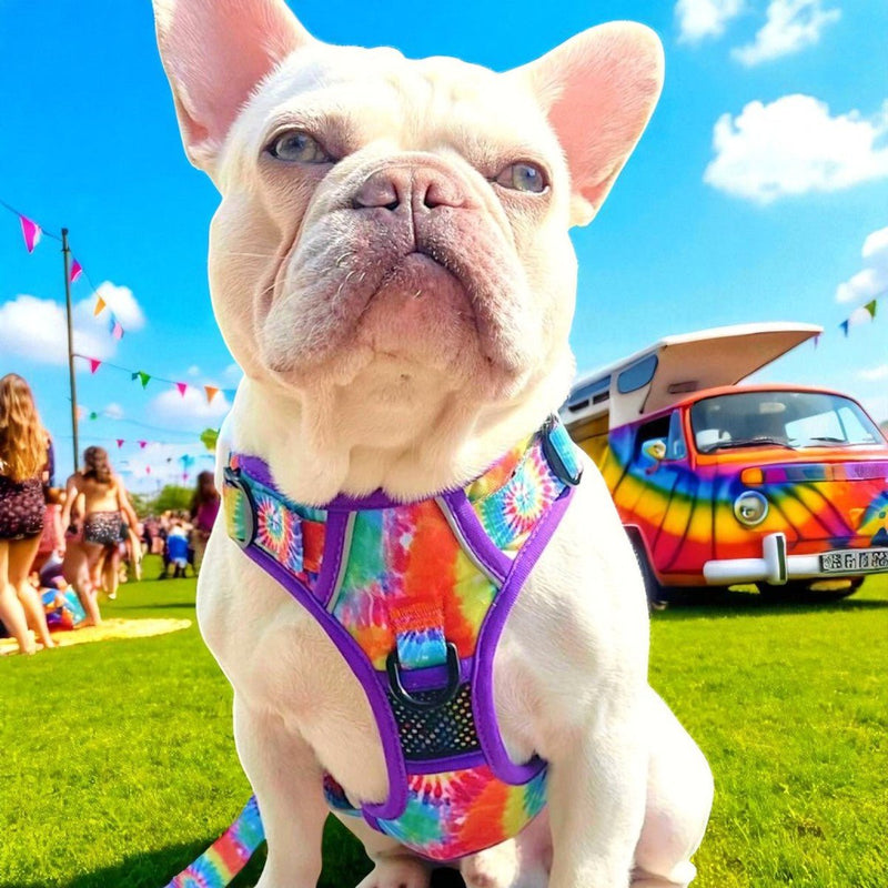 Tie Dye No Pull Harness Bundle - Beast & Buckle