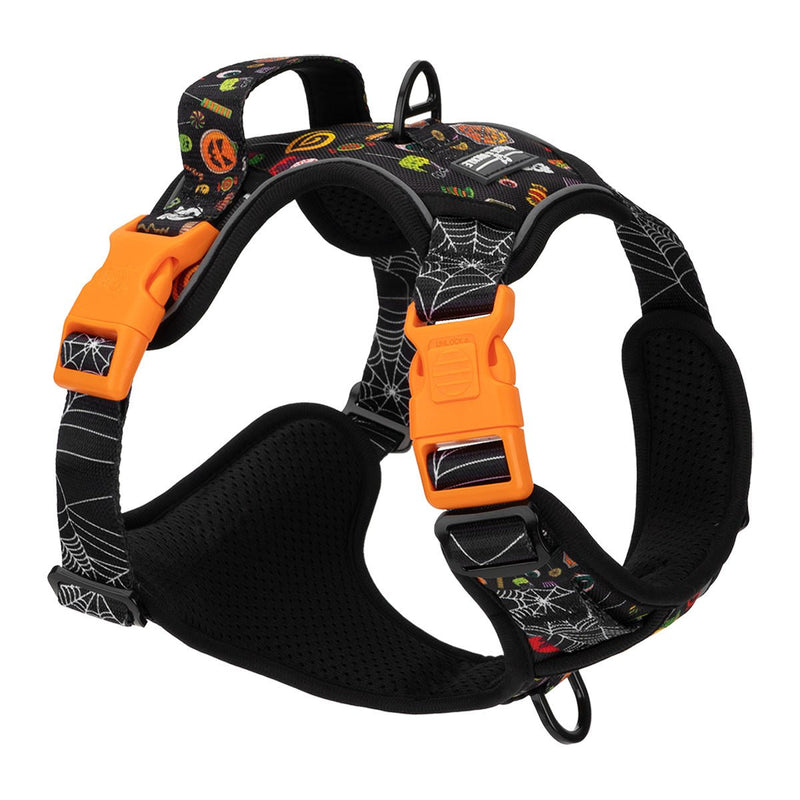 Trick or Treat No Pull Harness & Leash Bundle - Beast & Buckle