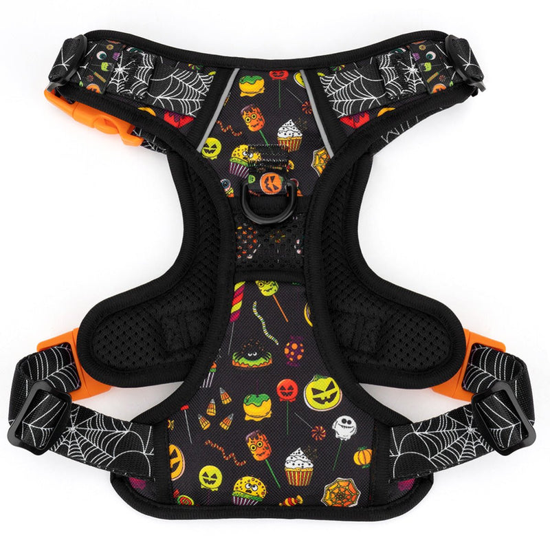 Trick or Treat No Pull Harness & Leash Bundle - Beast & Buckle