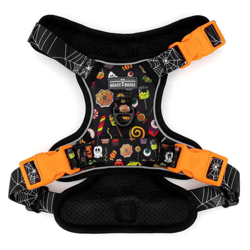 Trick or Treat No Pull Harness & Leash Bundle - Beast & Buckle