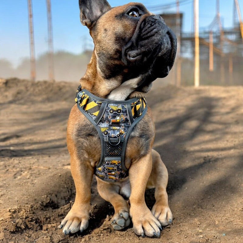 Under Construction No Pull Harness Bundle - Beast & Buckle