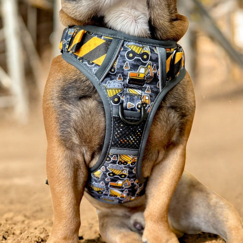 Under Construction No Pull Harness Bundle - Beast & Buckle