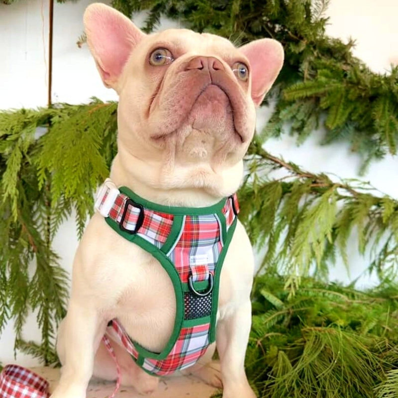 Christmas Plaid No Pull Harness - Beast & Buckle