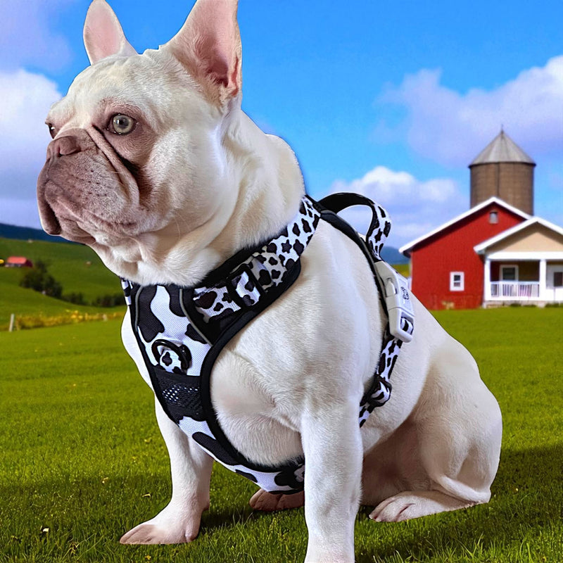 Cow Print No Pull Dog Harness - Beast & Buckle