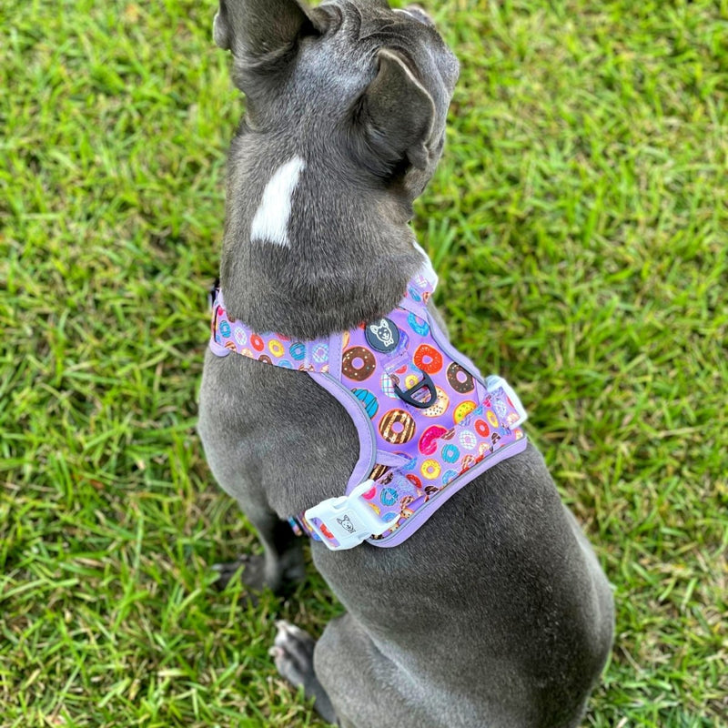 Donuts! No-Pull Dog Harness - Beast & Buckle