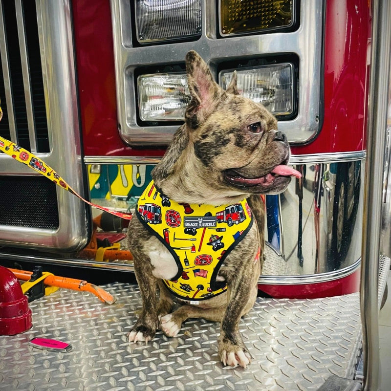 Firefighter Harness & Leash Set - Beast & Buckle
